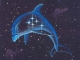 Цивилизация Созвездия Дельфинов 